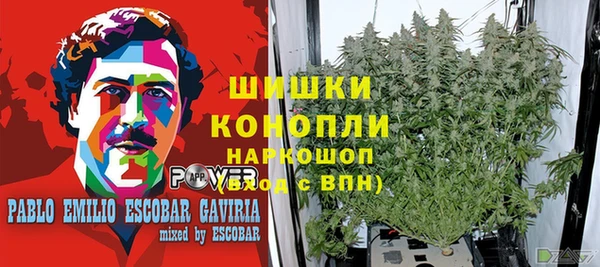 2c-b Абаза