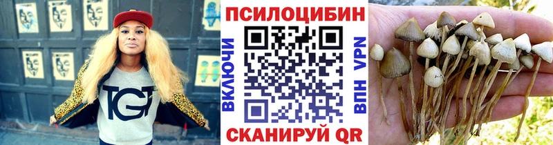 мега ссылки  Берёзовка  Псилоцибиновые грибы ЛСД 